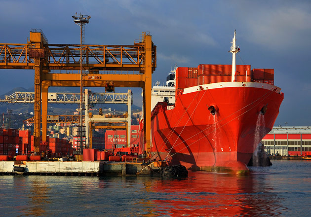 Dock cranes and docked cargo ship